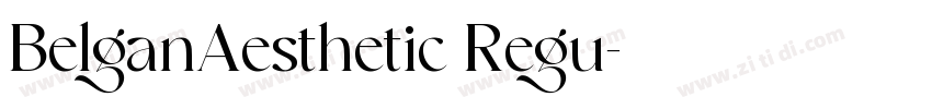 BelganAesthetic Regu字体转换
